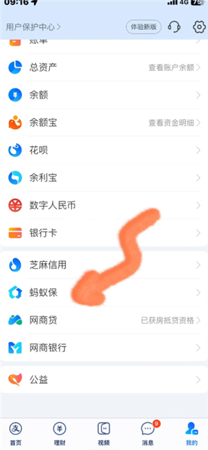 支付宝宠物保险报销流程 支付宝宠物保险报销比例 支付宝宠物保险报销流程 支付宝宠物保险报销比例