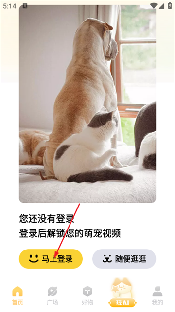 Ƥ�˷�app�ٷ�����