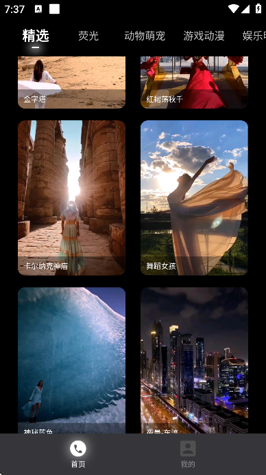 ������app�ֻ���