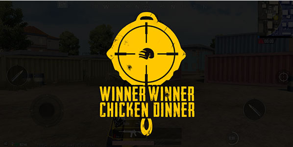 PUBGӡ�ȷ�ֱװ(Battlegrounds India)