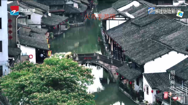 �ڻ�TV����