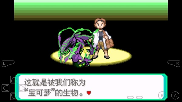 �ڴ���������ƻ�����С��ƪ