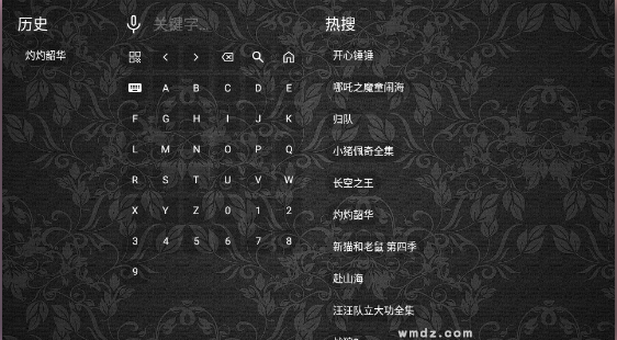 ����үӰԺTV��������