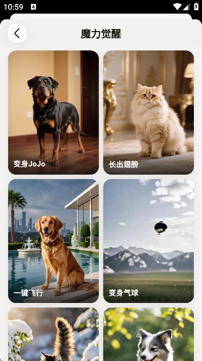 ����app��׿��