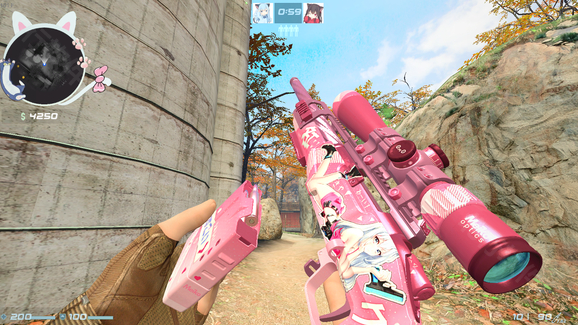 CS��Դ����Ԫ��ɫ����