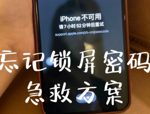 ƻ���ֻ�����������ô�� ƻ���ֻ��������˽������