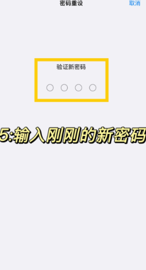 ƻ���ֻ�����������ô�� ƻ���ֻ��������˽������