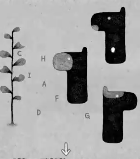 ��������Ϸ