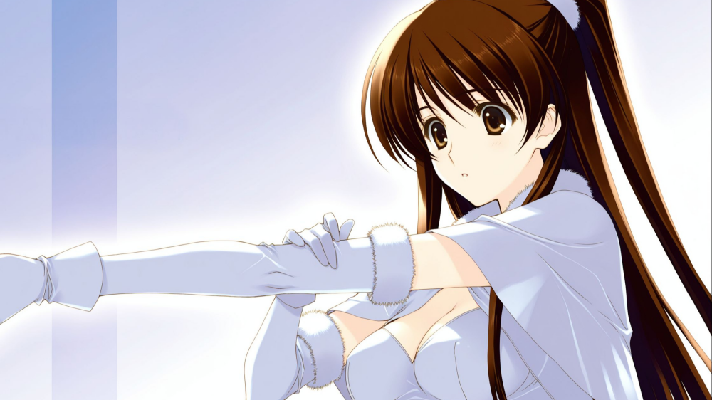 ��ɫ�ಾ2��Ϸ(WhiteAlbum2)v0.1.8.3 ������