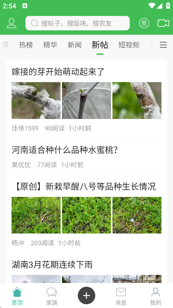 ˮ������ľ���״���(ũ��֮��)