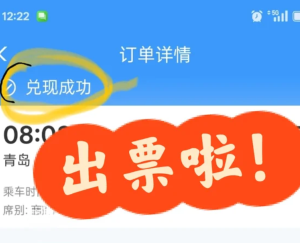 12306�򲹳ɹ�С���� 12306�򲹳ɹ��ʿ�����