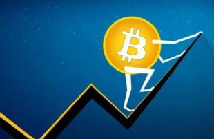 pi�ҽ���ƽ̨���� pi��2026��������ʵ����