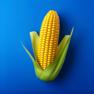 �ҵ�ũ���ֻ���Ϸ(Farm Land)v3.24.0 ��׿��