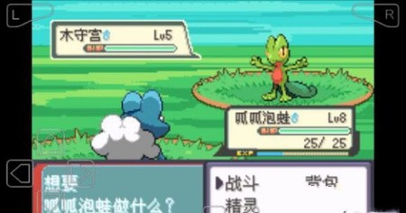 �ڴ�������ǿ����