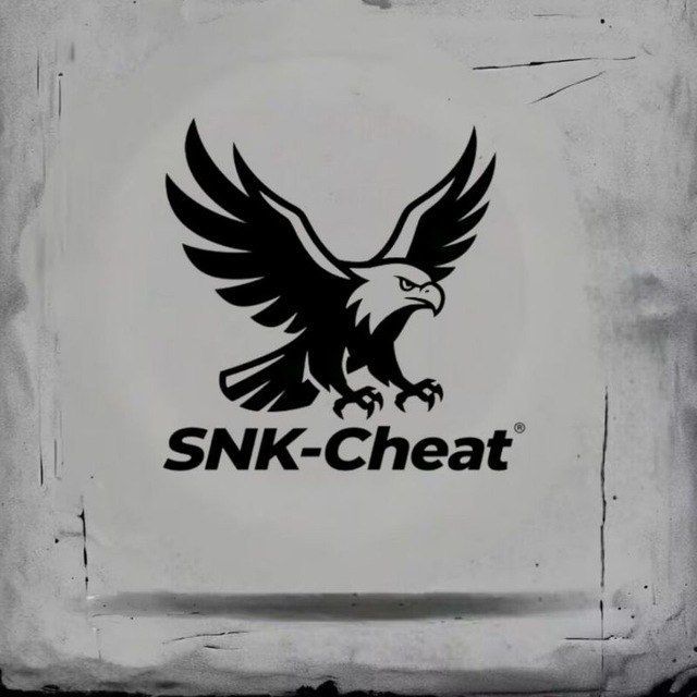 SNK Cheat˫������v1.0 �ֻ���