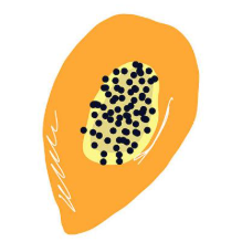 ľ�����������ذ�װv1.6.109 ��׿��