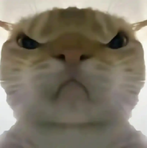 Ѱ����������������ֻ���v2.0 ��׿��