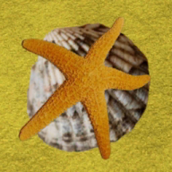 �ᱦС������Ϸv1.0 ��׿��