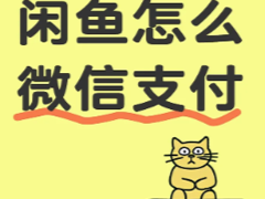 ������ô��΢��֧�� ������΢��֧������