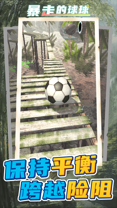 ���ߵ������°汾v1.2.4 ��׿��