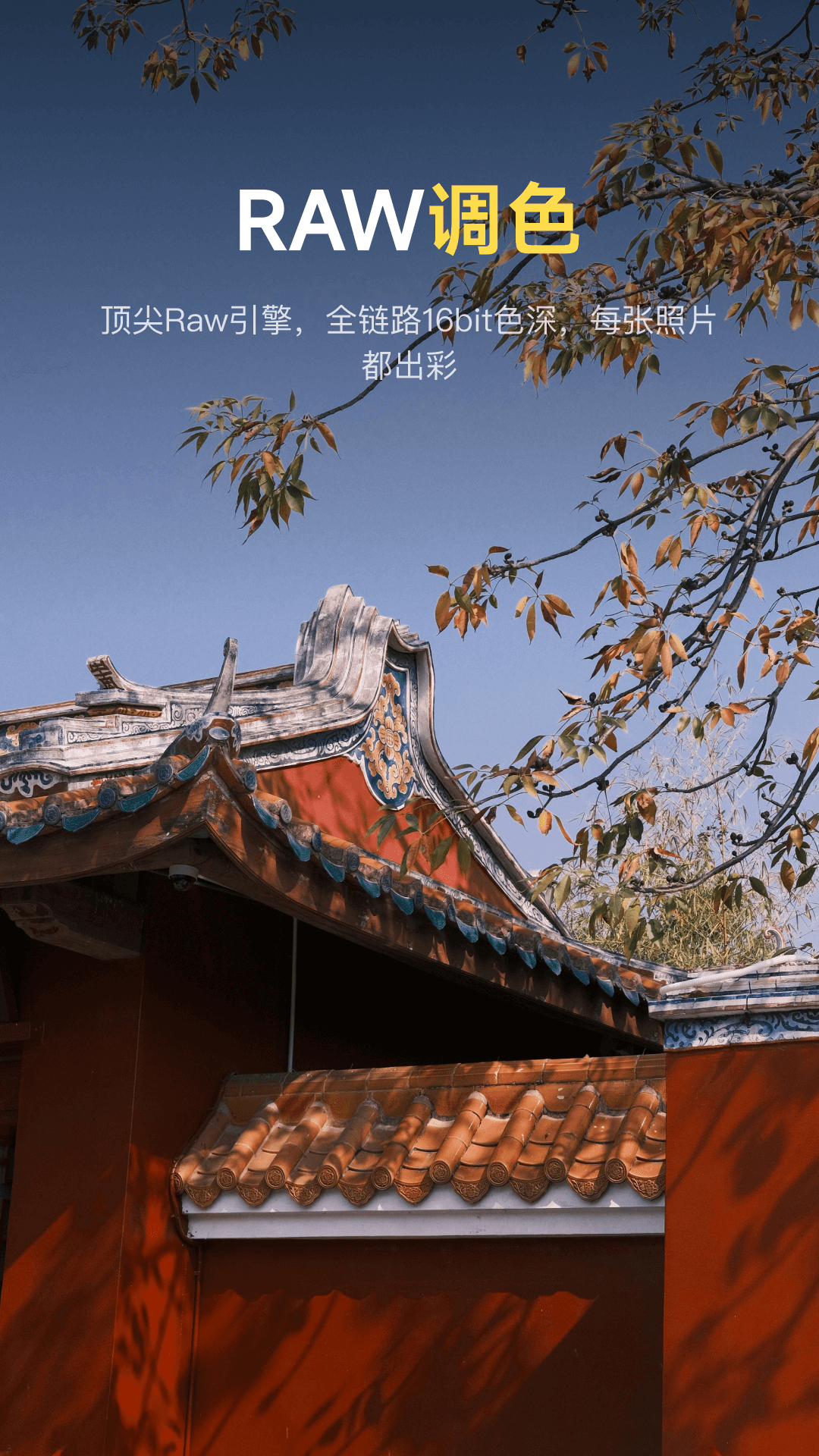 ���ص���ٷ���v1.4.2 ��׿��