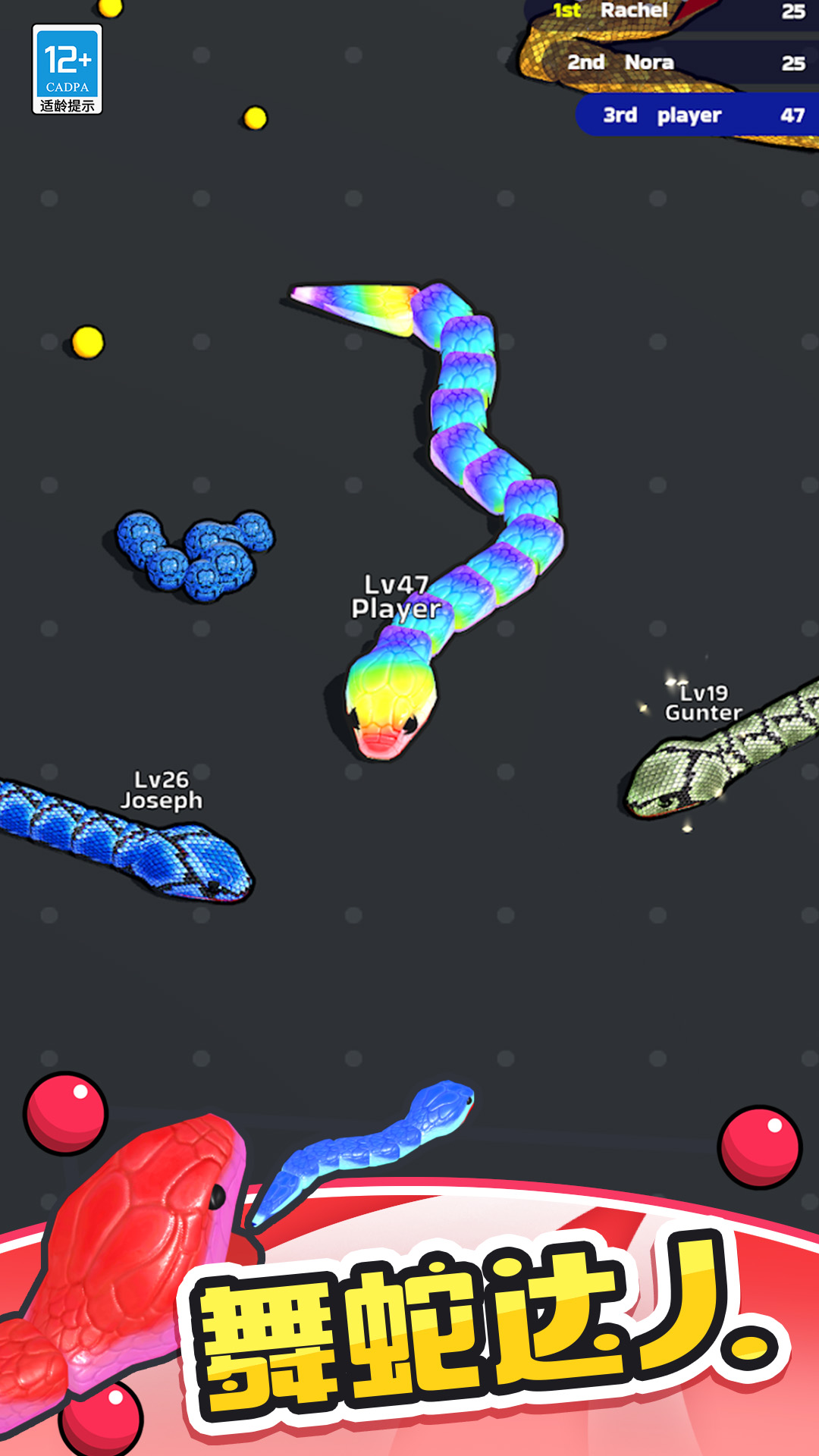 ̰���߶Ծ����ذ�װv2.1.0 ���°�