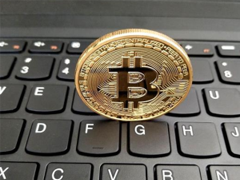 ȫ����������ǰʮ������Щ 2026���±�Ȧʮ������app���а�
