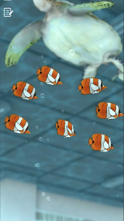 ����������ɫ�ſκ���Ϸv1.0.8 ���°�