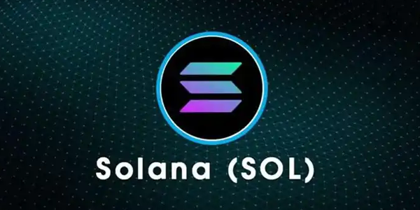 sol����������