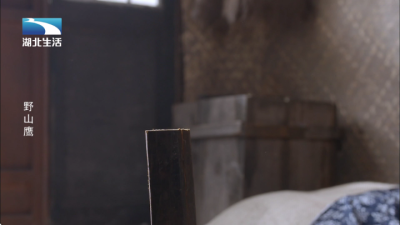 ����ӰԺTVAPP���ذ�װv8.8 ��׿��