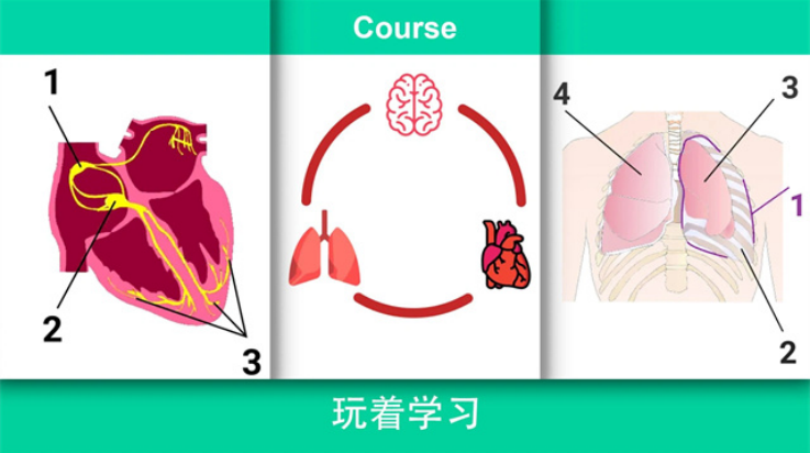 ��ʵҽ��ģ����������(Reanimation inc��װ��)v72 ��׿��