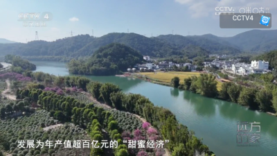 ����TVapp��������v1.0.0 ��׿��