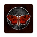 ������հ�׿������(Moth Lake)v1.1.37 ���°�