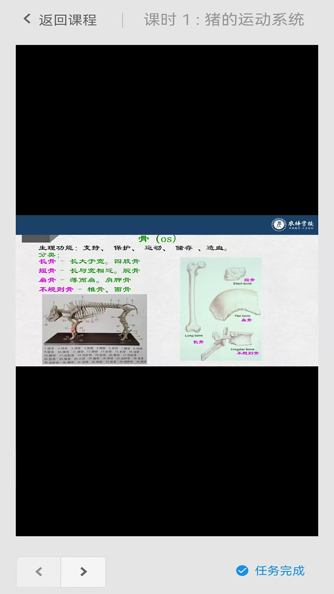 ũ��ѧУappv1.0 ���°�