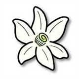 Azaharģ��������v2125.0-alpha1-vanilla ���İ�