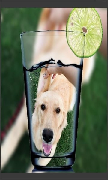 ImagePickerDemoͼƬ����v2.0.1 ��׿��