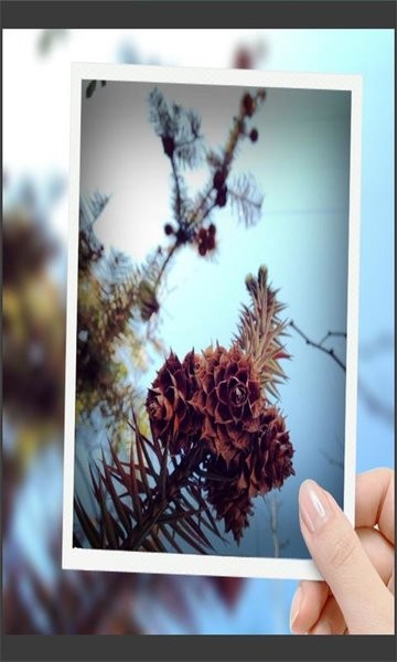 ImagePickerDemoͼƬ����v2.0.1 ��׿��