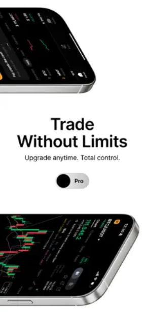 bybit��������v5.12.0 �ٷ���