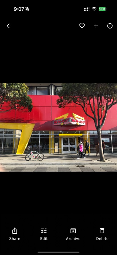 ImmichApp����v2.5.6 ���°�