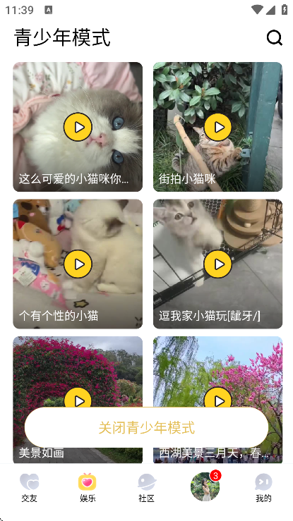 ����app�������2026