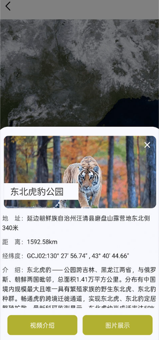 ɽˮ���ǵ�ͼapp�ٷ���