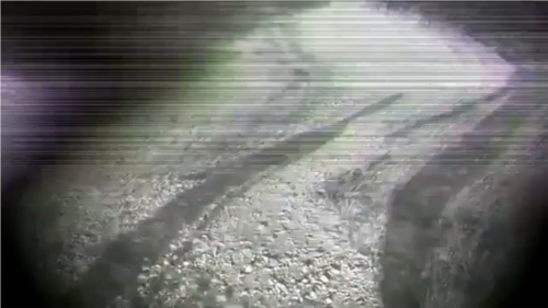 后室精神病下载安卓(BackRooms Psycho) 后室精神病下载安卓(BackRooms Psycho)