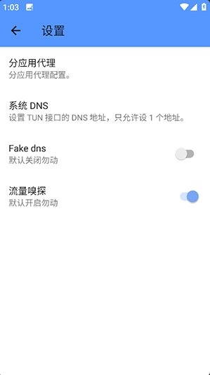 ���޶˿�app����