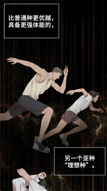 ����������app���°�