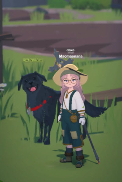 ����M�ٷ���������