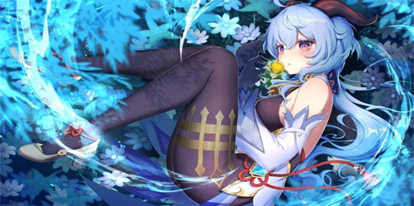 ���괥����������