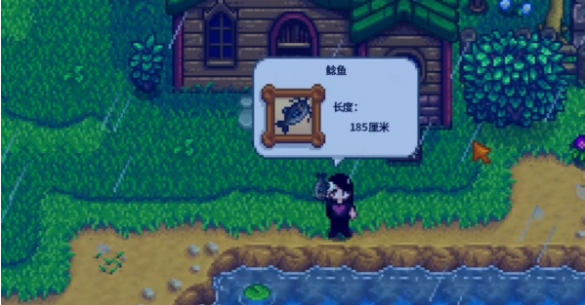 ��¶���������̫̫������(��¶������1.6)