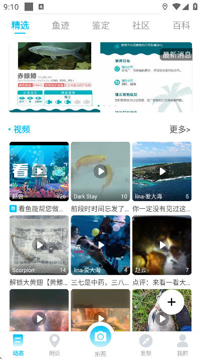 ����app�ֻ���