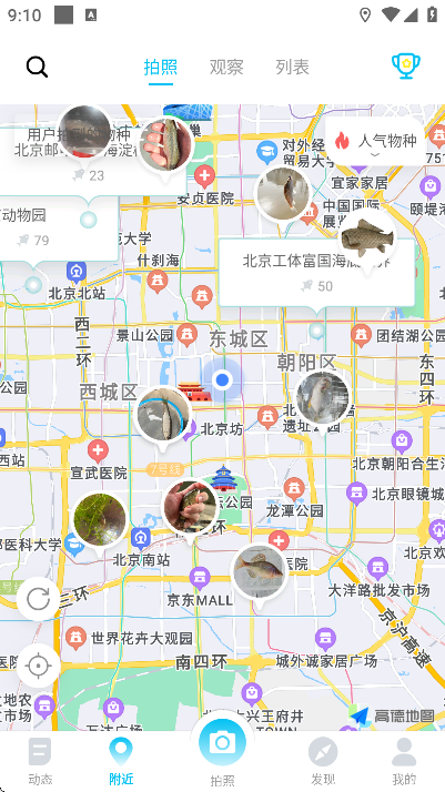 ����app�ֻ���