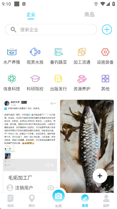 ����app�ֻ���